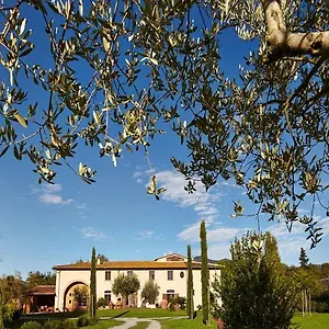 Ai Condotti Di Pisa Da Filippo Frühstückspension San Giuliano Terme